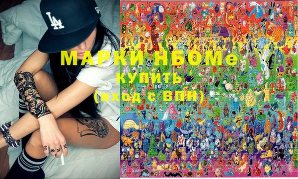 прущие грибы Елабуга