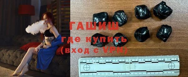 прущие грибы Елабуга